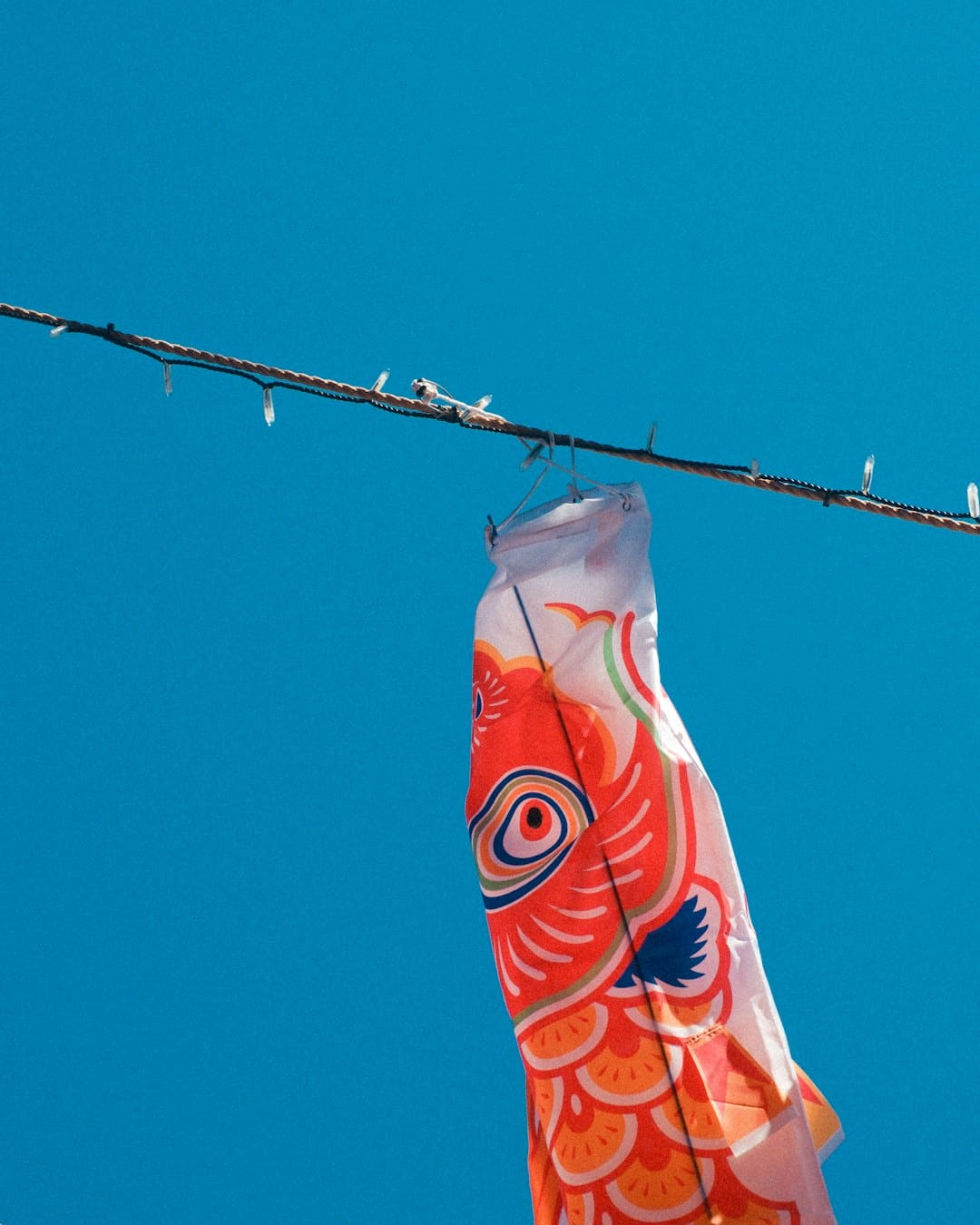 https://p3.img.cctvpic.com/photoworkspace/contentimg/2025/09/06/2025090609253635953.jpg
